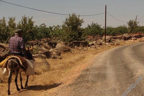 Küçük Alahacı köyü 