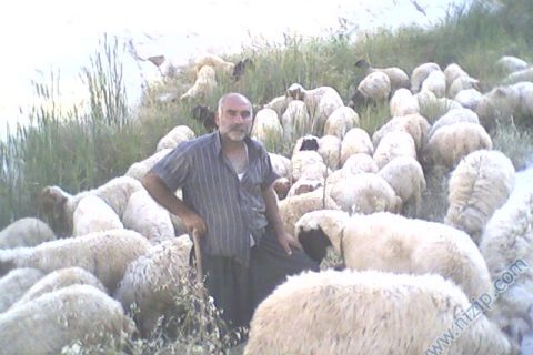 Erol BAKIR 