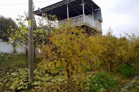 ALI BABANIN EVI 