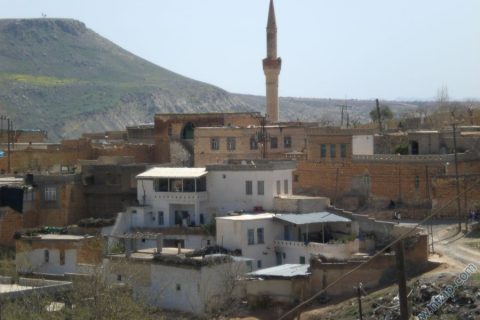 A.CARDAK KOYU 
