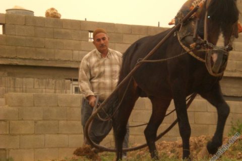 CUMA DOGAN 