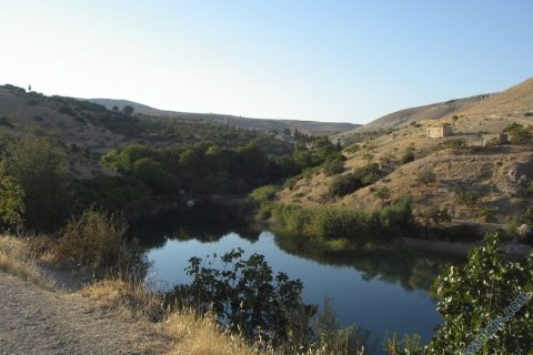 bahçe  yolu 