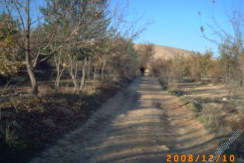 horum bölgesi 
