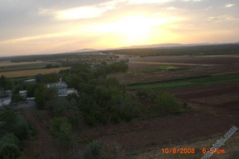 9199-CIMG2518 
