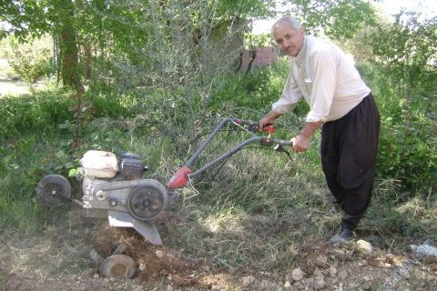 celal şeker 