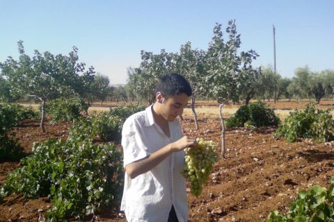 BAĞ 