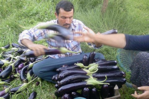 BOSTAN 