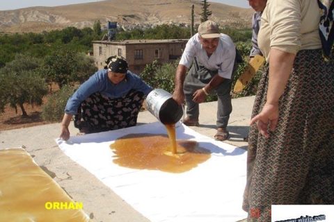 Bahçeli Köyü 