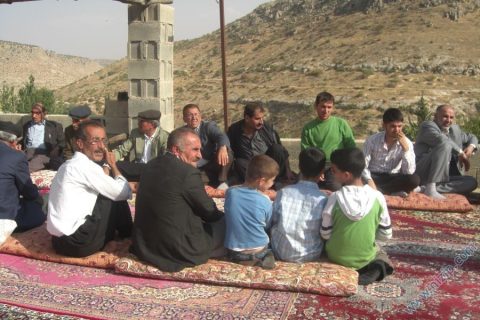 balli habib 