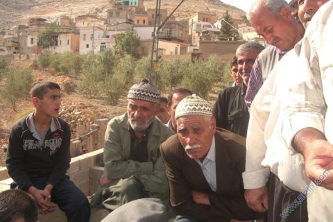 balli habib 