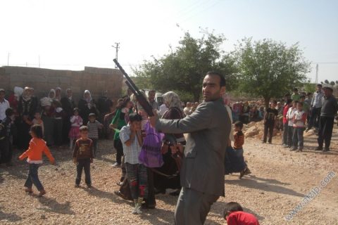 balli habib 