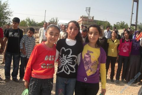 balli habib 