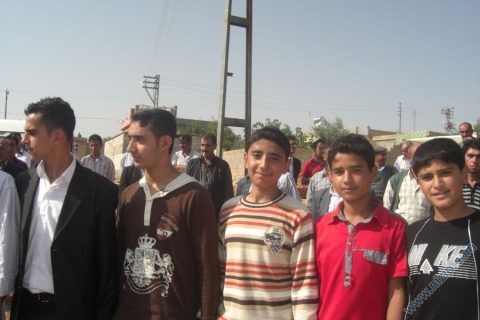 balli habib 