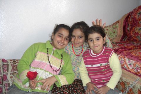 balli habib 