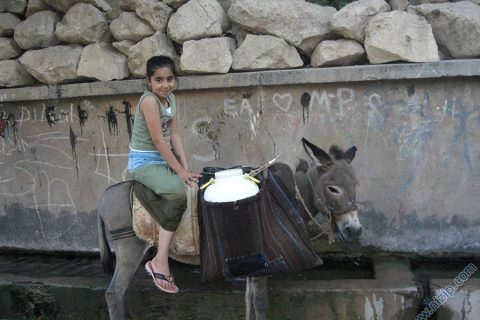 sidika akpinar 