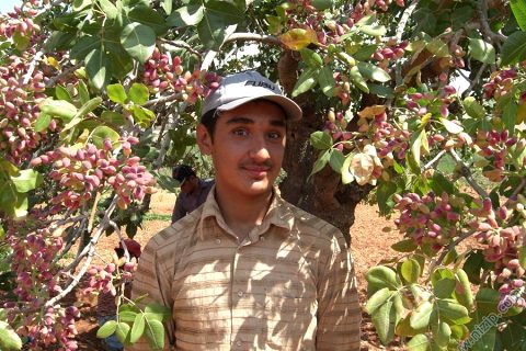 ibrahim aslan 