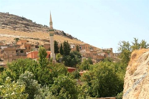 Ballı köyü 
