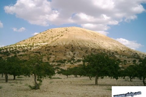 Belkıs Köyü höyüğü 