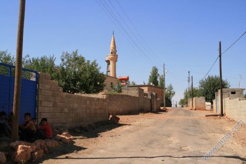 BÜYÜK ALAHACI 