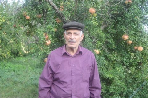 ismet dogan 