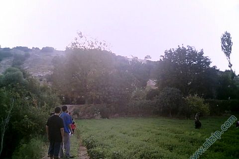 bahce 