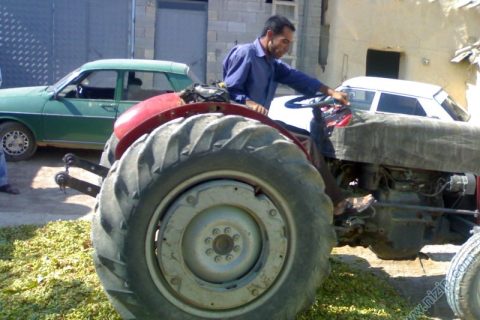 çatalca 