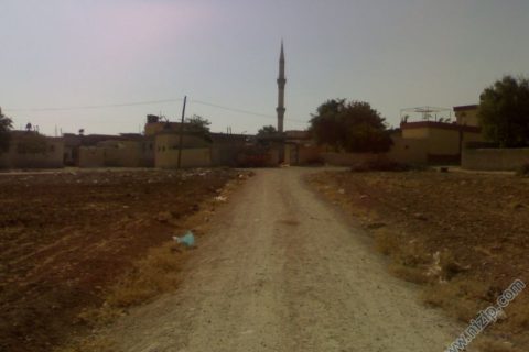 çatalca 