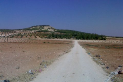 kürep dagı 