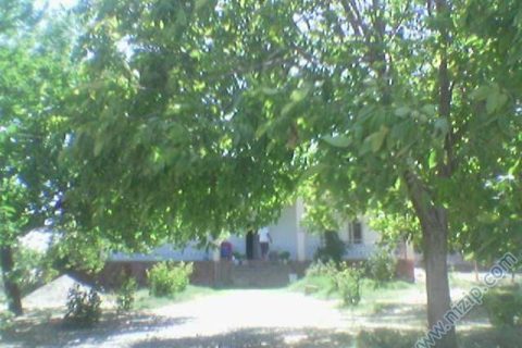 özataş 