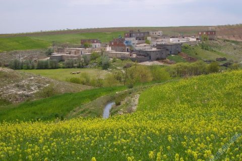 DANAOĞLU KÖYÜ(İNTEPE KÖYÜ) 