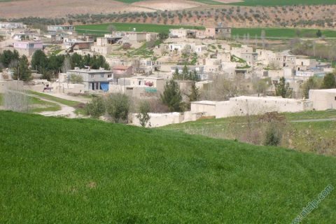 DANAOĞLU KÖYÜ(İNTEPE) 