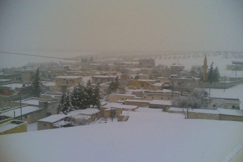 dazhüyük köyü 
