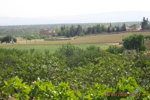 dutlu(torumahmut) 3 