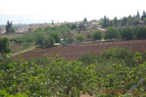 dutlu(torumahmut) 2 