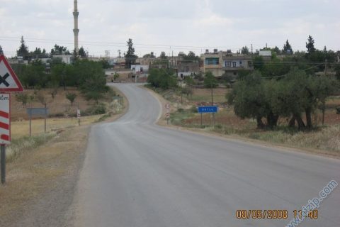 dutlu(torumahmut) 1 