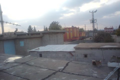 izan 