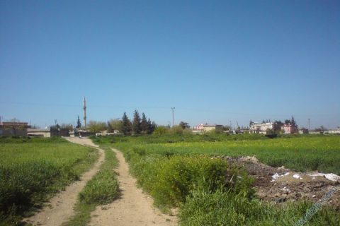 izan 