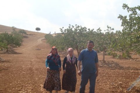 Cemal-Bilgiye-Sıltan Çiftçi 