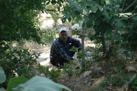 Mehmet Çiftçi 