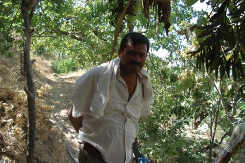 Cemal Çiftçi 
