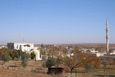 1741-20061218193209_2957_1 