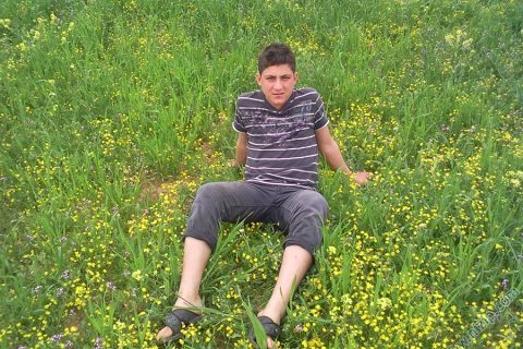 barakın gülü 