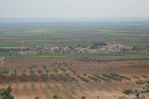 gökçeliye bakış 
