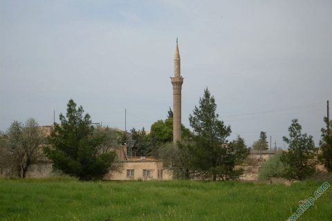 kürep resmi 