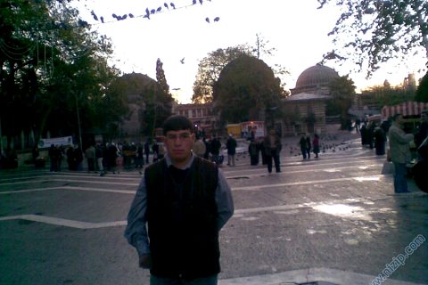 MEHMET KÖSE 