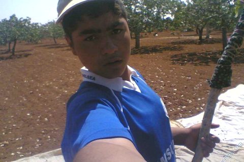 bilo 