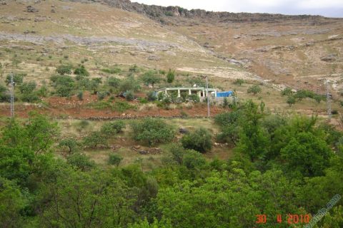 kuşdam 