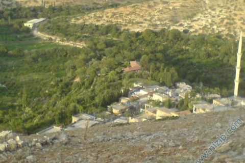kuşdam güder 