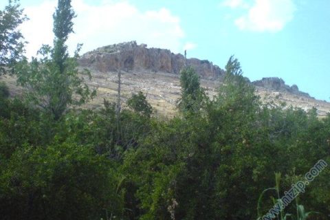 kuşadam güder 