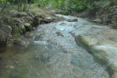 kuşdam 